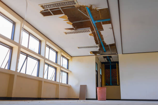 Best Fire Damage Restoration  in La Puebla, NM
