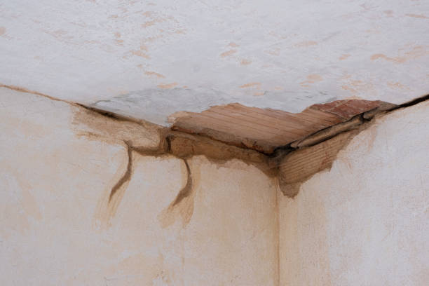 Best Water damage cleanup near me  in La Puebla, NM