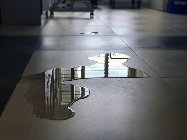 Best Water damage restoration specialists  in La Puebla, NM