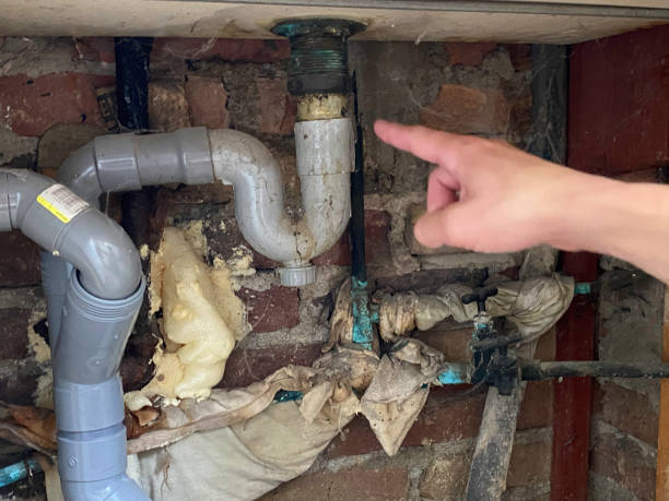 Best Water damage restoration cost  in La Puebla, NM