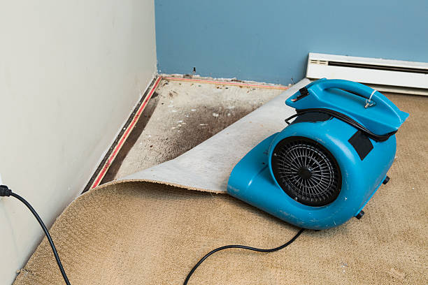 Best Water damage restoration near me  in La Puebla, NM